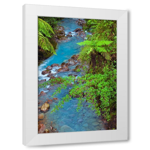 Small stream or creek-Costa Rica White Modern Wood Framed Art Print by Jones, Adam