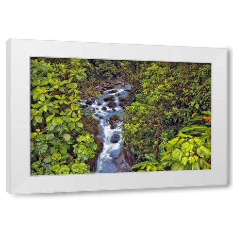 Small stream or creek-Costa Rica White Modern Wood Framed Art Print by Jones, Adam