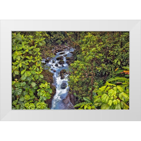 Small stream or creek-Costa Rica White Modern Wood Framed Art Print by Jones, Adam