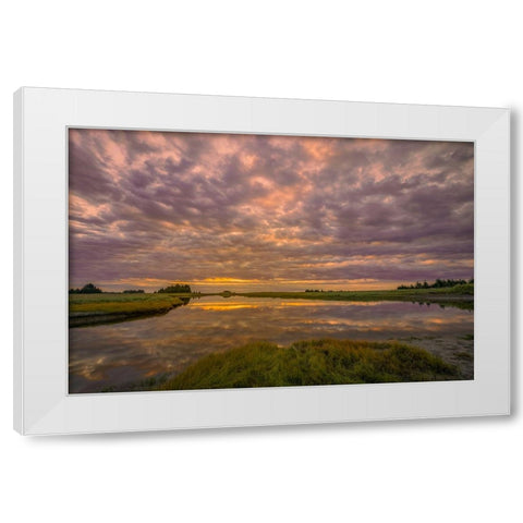 Sunrise on slough of Silver Salmon Creek-Lake Clark National Park and Preserve-Alaska White Modern Wood Framed Art Print by Jones, Adam