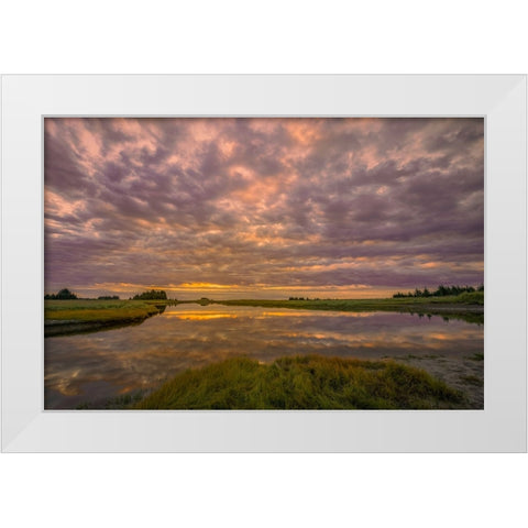 Sunrise on slough of Silver Salmon Creek-Lake Clark National Park and Preserve-Alaska White Modern Wood Framed Art Print by Jones, Adam