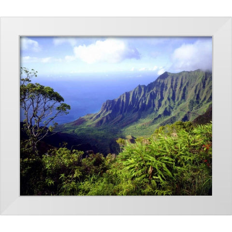 USA, Kauai, Hawaii View above the Na Pali Coast White Modern Wood Framed Art Print by Talbot Frank, Christopher