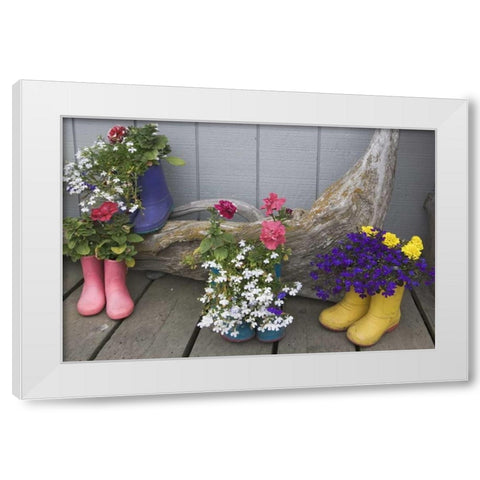 Alaska, Homer Rubber boots used as flower pots White Modern Wood Framed Art Print by Flaherty, Dennis