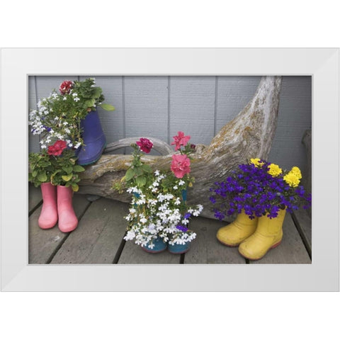 Alaska, Homer Rubber boots used as flower pots White Modern Wood Framed Art Print by Flaherty, Dennis