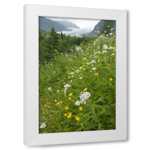Alaska flowers with Mendenhall Glacier White Modern Wood Framed Art Print by Rotenberg, Nancy