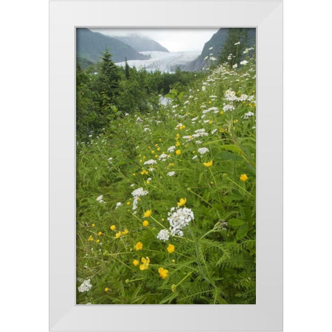 Alaska flowers with Mendenhall Glacier White Modern Wood Framed Art Print by Rotenberg, Nancy