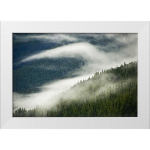AK, Inside Passage Fog pattern over a mountain White Modern Wood Framed Art Print by Rotenberg, Nancy