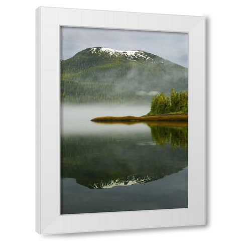 Alaska, Inside Passage Foggy forest and Mountain White Modern Wood Framed Art Print by Rotenberg, Nancy