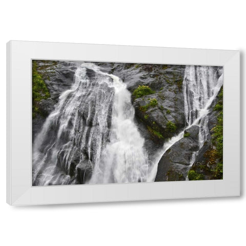 AK, Inside Passage Waterfalls rush down rock White Modern Wood Framed Art Print by Rotenberg, Nancy