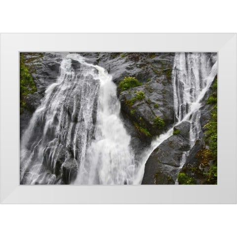 AK, Inside Passage Waterfalls rush down rock White Modern Wood Framed Art Print by Rotenberg, Nancy