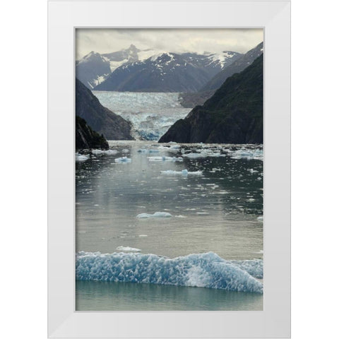 Alaska, Tracey Arm View of South Sawyer Glacier White Modern Wood Framed Art Print by Ross, Nancy ,  Steve