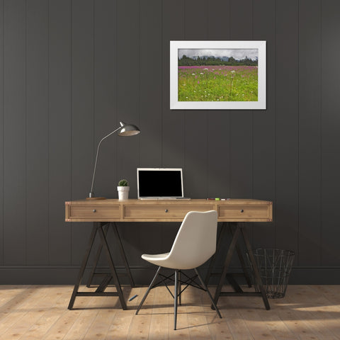 AK, Seward Fireweed and cow parsnip in bloom White Modern Wood Framed Art Print by Flaherty, Dennis