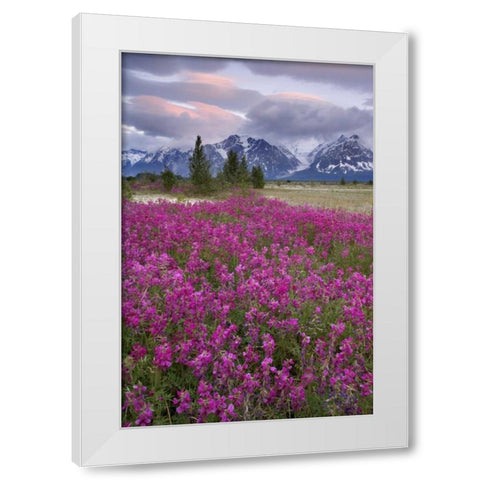 Alaska View of flowers and Fairweather Range White Modern Wood Framed Art Print by Paulson, Don
