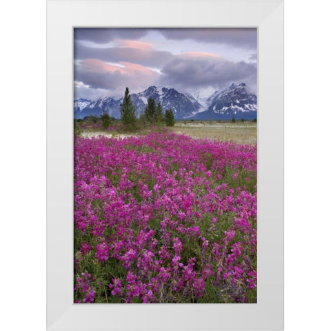 Alaska View of flowers and Fairweather Range White Modern Wood Framed Art Print by Paulson, Don