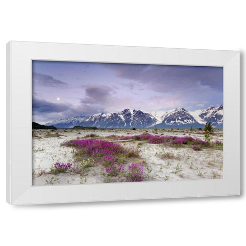 Alaska View of flowers and Fairweather Range White Modern Wood Framed Art Print by Paulson, Don