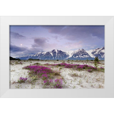 Alaska View of flowers and Fairweather Range White Modern Wood Framed Art Print by Paulson, Don