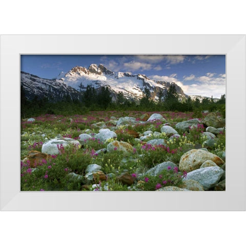 AK, Alsek-Tatshenshini Meadow landscape White Modern Wood Framed Art Print by Paulson, Don