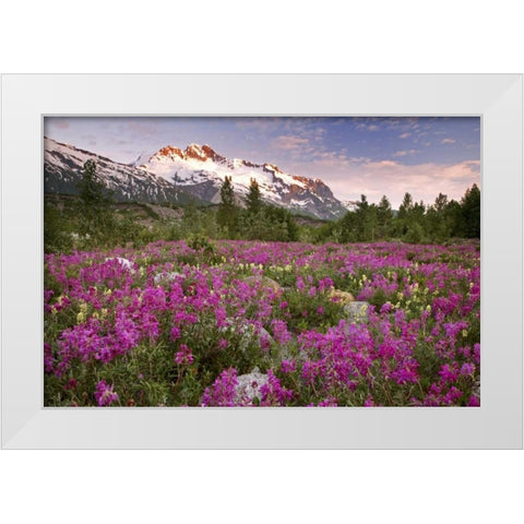 Alaska View of flowers and Fairweather Range White Modern Wood Framed Art Print by Paulson, Don