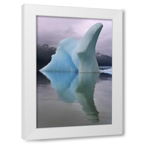 Alaska, Alsek River Valley Iceberg on Alsek Lake White Modern Wood Framed Art Print by Paulson, Don