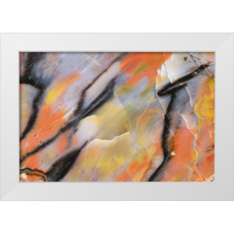 USA, Arizona Close-up of petrified wood White Modern Wood Framed Art Print by Kirkland, Dennis