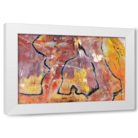 USA, Arizona Close-up of petrified wood White Modern Wood Framed Art Print by Kirkland, Dennis