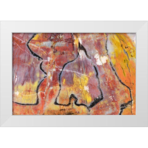 USA, Arizona Close-up of petrified wood White Modern Wood Framed Art Print by Kirkland, Dennis