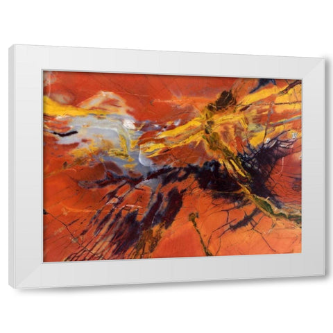 USA, Arizona Close-up of petrified wood White Modern Wood Framed Art Print by Kirkland, Dennis