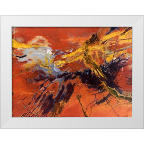 USA, Arizona Close-up of petrified wood White Modern Wood Framed Art Print by Kirkland, Dennis