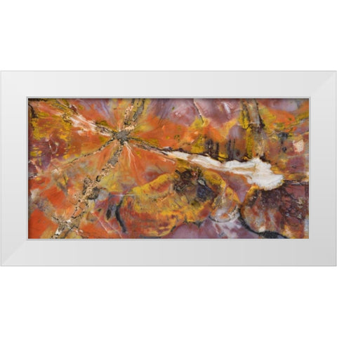 USA, Arizona Close-up of petrified wood White Modern Wood Framed Art Print by Kirkland, Dennis
