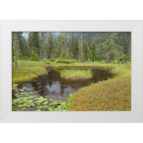 Alaska, Admiralty Island Pond and forest White Modern Wood Framed Art Print by Paulson, Don