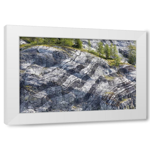AK, Glacier Bay NP Striated rock on Gloomy Knob White Modern Wood Framed Art Print by Paulson, Don