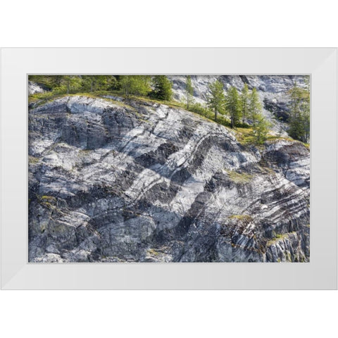 AK, Glacier Bay NP Striated rock on Gloomy Knob White Modern Wood Framed Art Print by Paulson, Don