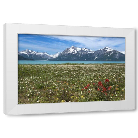AK, Glacier Bay NP Strawberry and red paintbrush White Modern Wood Framed Art Print by Paulson, Don