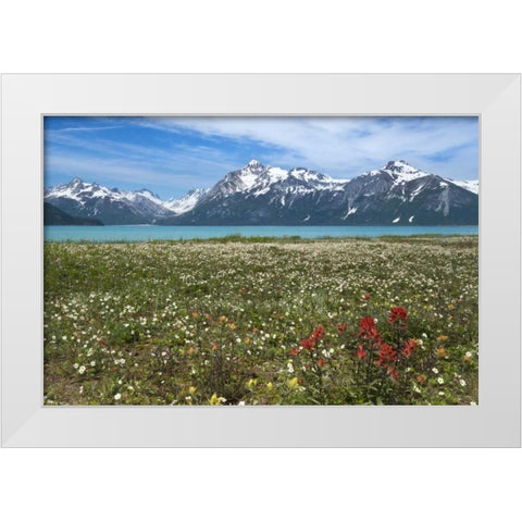 AK, Glacier Bay NP Strawberry and red paintbrush White Modern Wood Framed Art Print by Paulson, Don