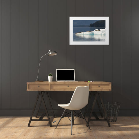 Alaska, Tongass NF Harbor seals on iceberg White Modern Wood Framed Art Print by Illg, Cathy and Gordon
