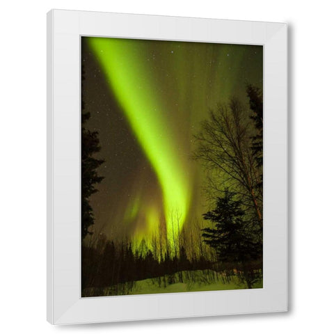 Alaska, Chena Hot Springs Aurora borealis White Modern Wood Framed Art Print by Illg, Cathy and Gordon