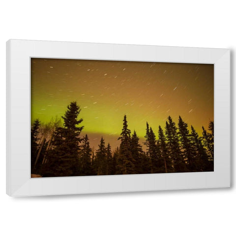 AK, Fairbanks Aurora borealis and star trails White Modern Wood Framed Art Print by Illg, Cathy and Gordon