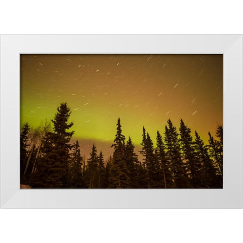AK, Fairbanks Aurora borealis and star trails White Modern Wood Framed Art Print by Illg, Cathy and Gordon