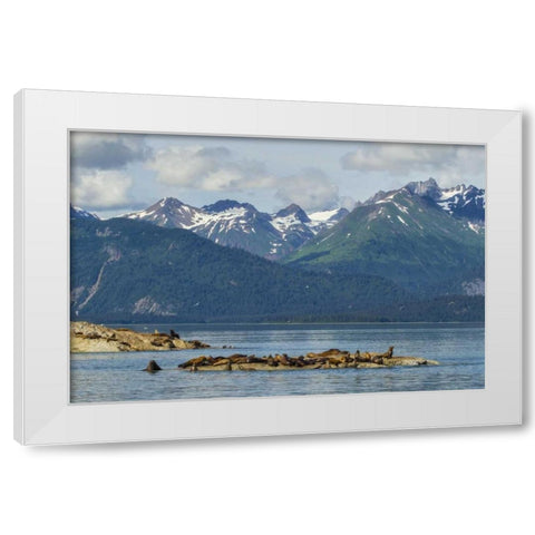 Alaska, Glacier Bay NP Stellars sea lions White Modern Wood Framed Art Print by Illg, Cathy and Gordon