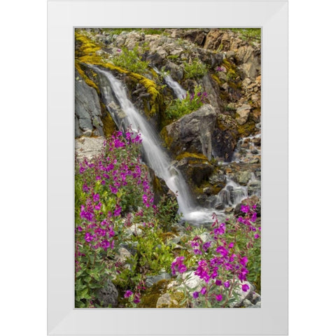 Alaska, Glacier Bay NP Fireweed and waterfall White Modern Wood Framed Art Print by Illg, Cathy and Gordon