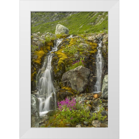 Alaska, Glacier Bay NP Fireweed and waterfall White Modern Wood Framed Art Print by Illg, Cathy and Gordon