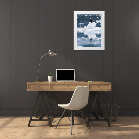 Alaska, Glacier Bay NP Bald eagle on iceberg White Modern Wood Framed Art Print by Paulson, Don