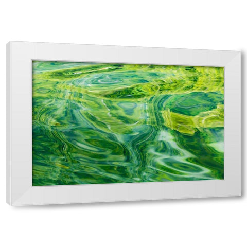 AK, Glacier Bay Abstract of water in Dundas Bay White Modern Wood Framed Art Print by Paulson, Don