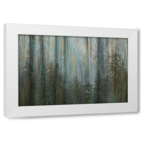 AK, Misty Fiords NM Abstract of trees and forest White Modern Wood Framed Art Print by Paulson, Don