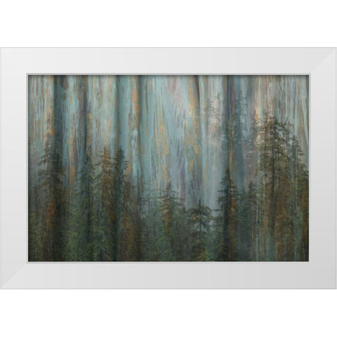 AK, Misty Fiords NM Abstract of trees and forest White Modern Wood Framed Art Print by Paulson, Don