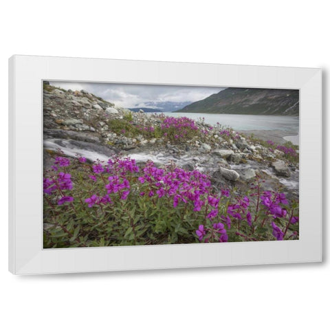 Alaska, Glacier Bay NP Small stream cascade White Modern Wood Framed Art Print by Paulson, Don