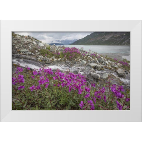 Alaska, Glacier Bay NP Small stream cascade White Modern Wood Framed Art Print by Paulson, Don