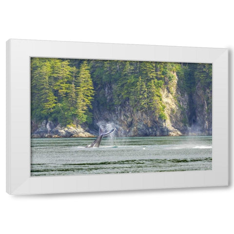 Alaska Humpback whale tail lobbing White Modern Wood Framed Art Print by Paulson, Don