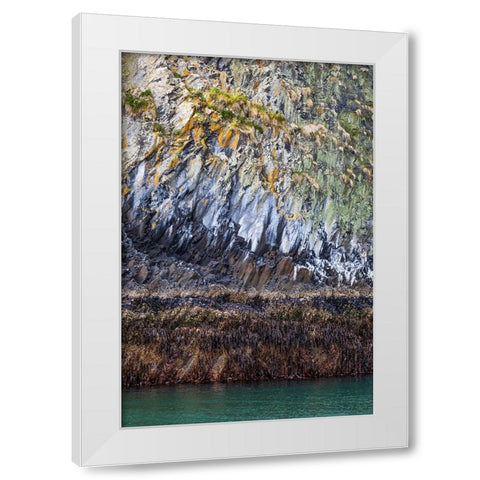 Alaska-Sitka Rocky cliffs of St Lazaria Island  White Modern Wood Framed Art Print by Jaynes Gallery