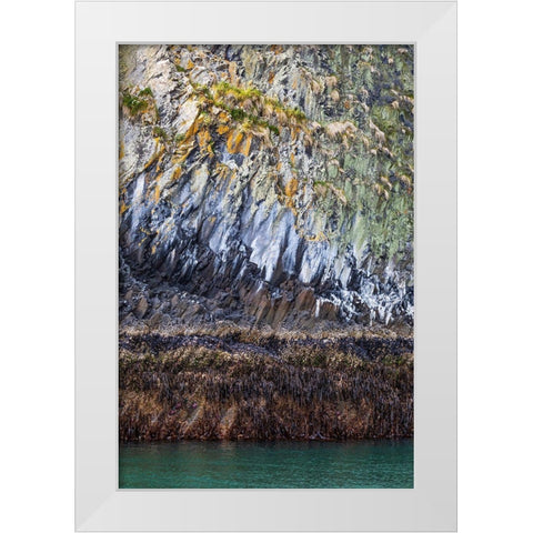 Alaska-Sitka Rocky cliffs of St Lazaria Island  White Modern Wood Framed Art Print by Jaynes Gallery